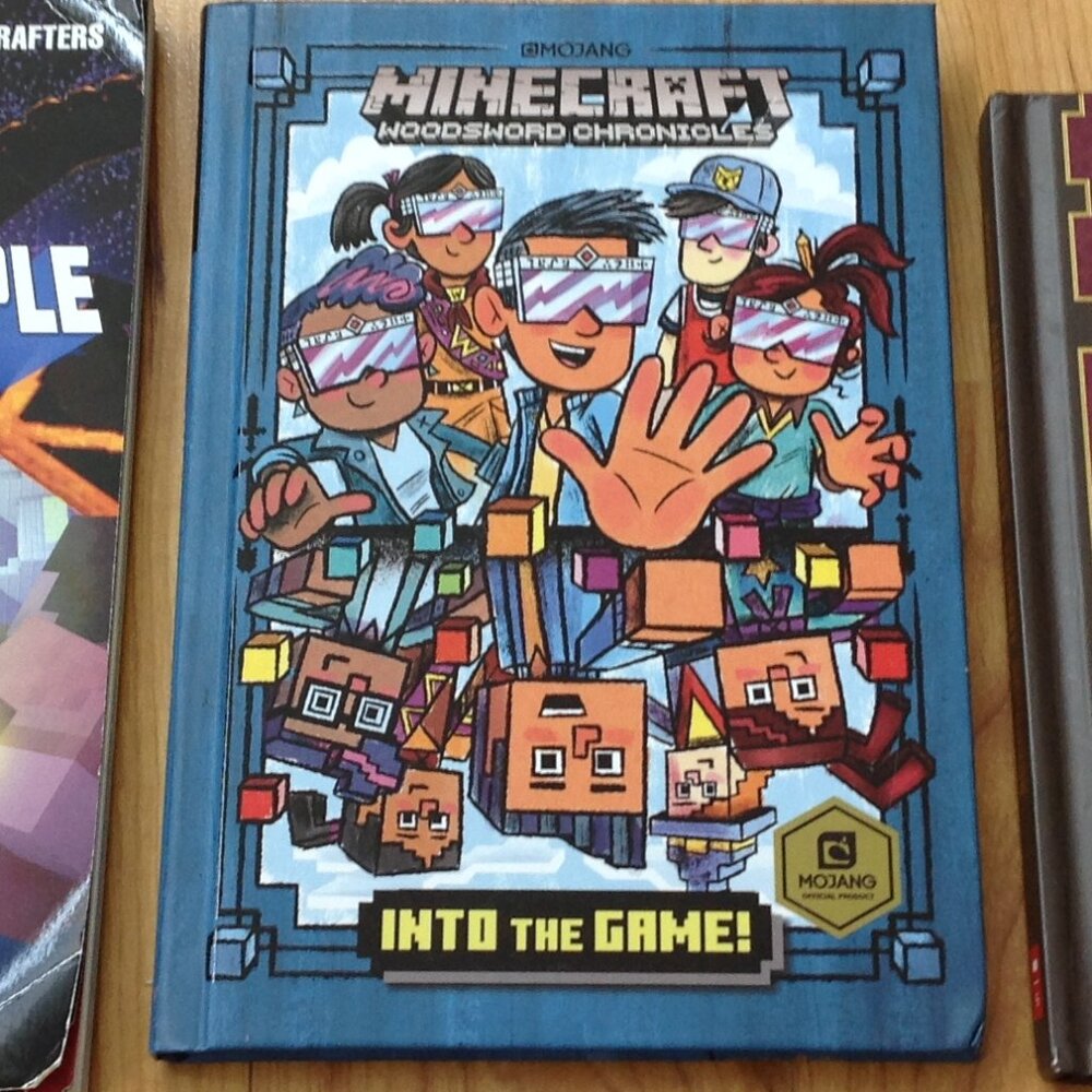 Three Minecraft Books - Picture 4 of 5